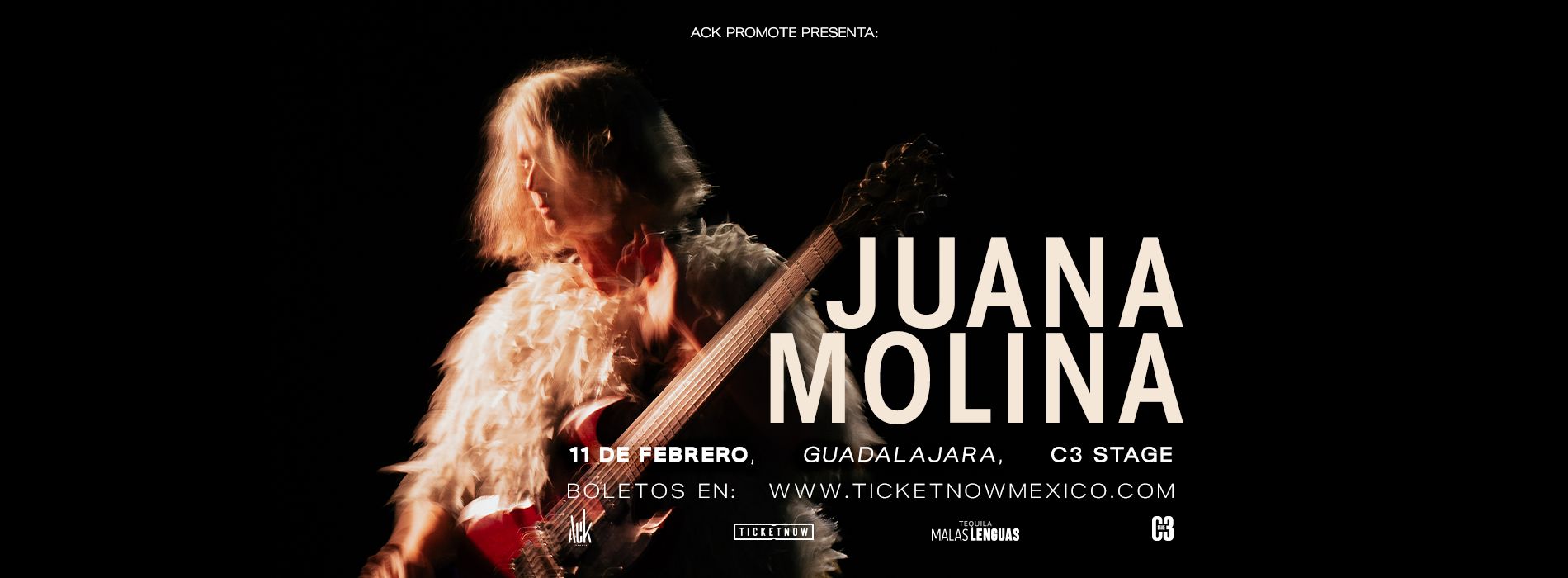 Juana Molina en Guadalajara