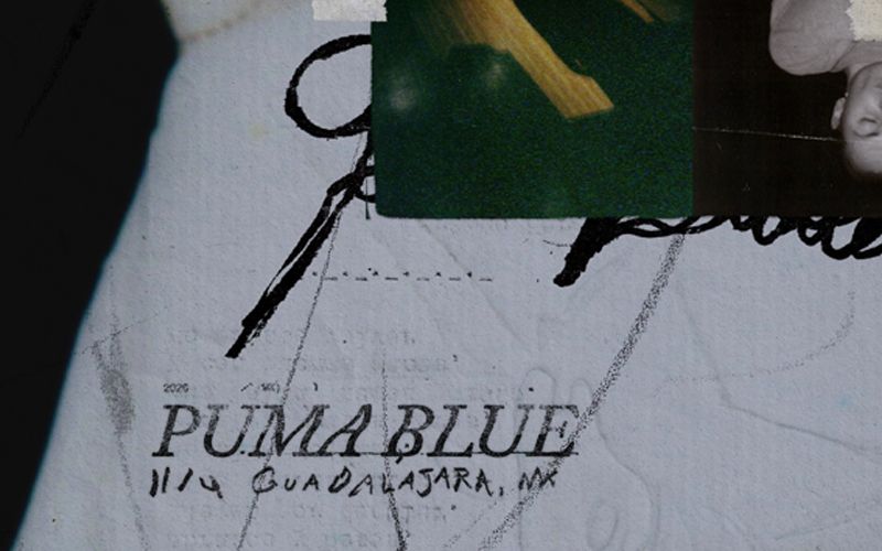 PUMA BLUE