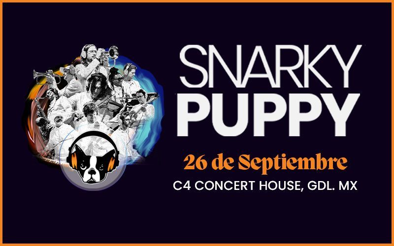 Snarky Puppy