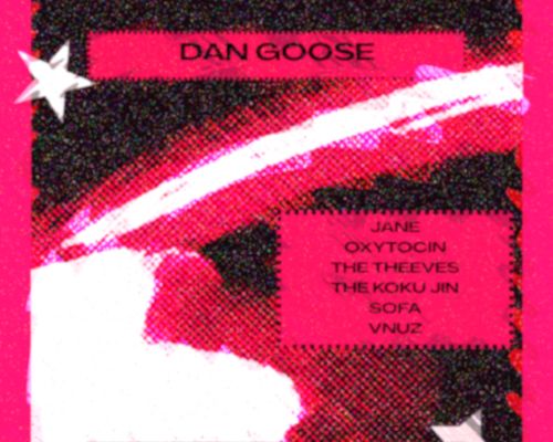 Dan Goose