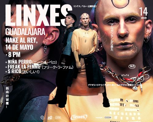 LINXES EN HAKE AL REY