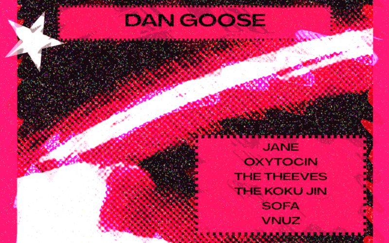 Dan Goose
