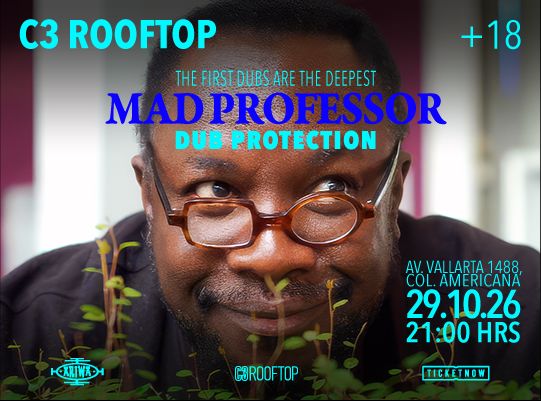 MAD PROFESSOR